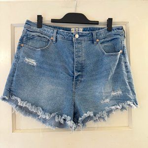 Free People We the Free Curvy Button Fly High Rise Shorts 35